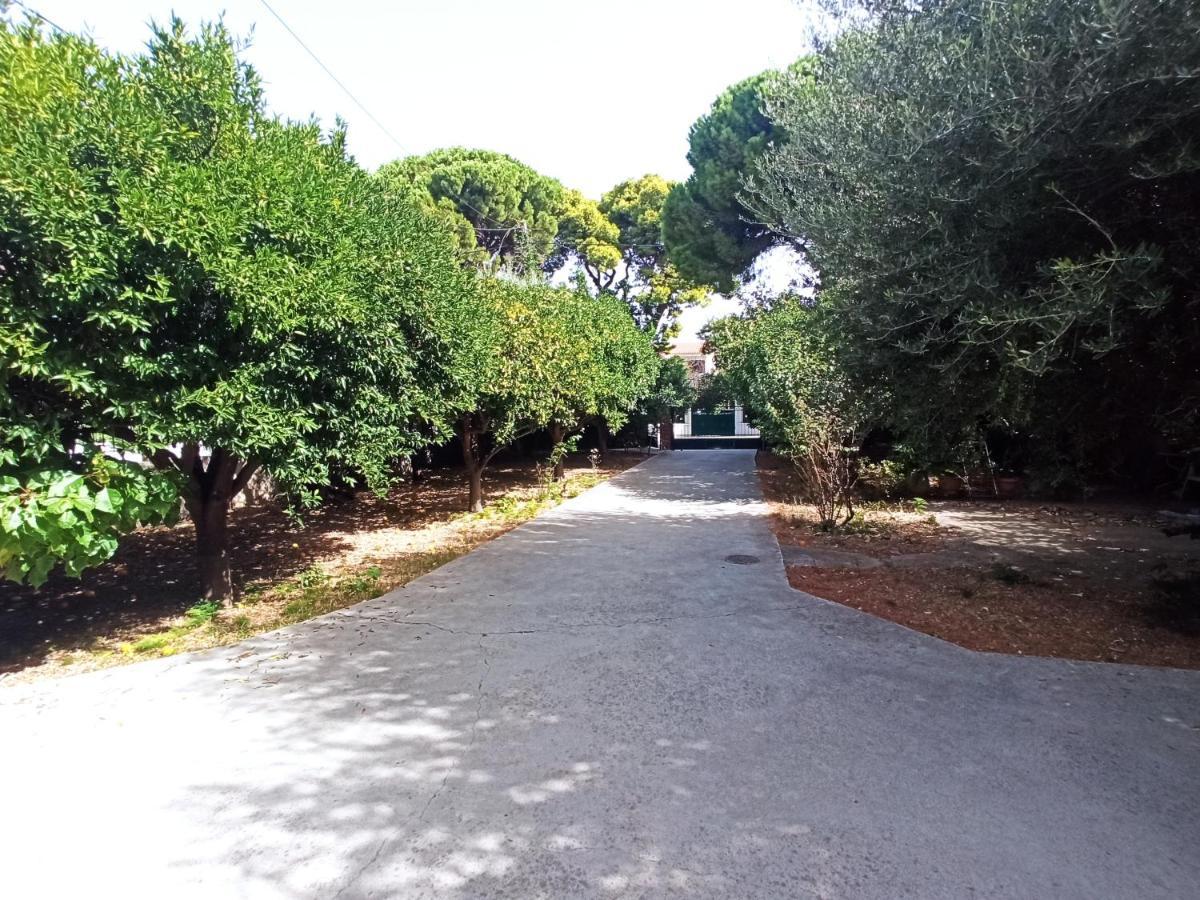 Σπίτι Στο Ρίο Πατρών Με Κήπο - Detached House In Rio With Garden Apartment Exterior photo